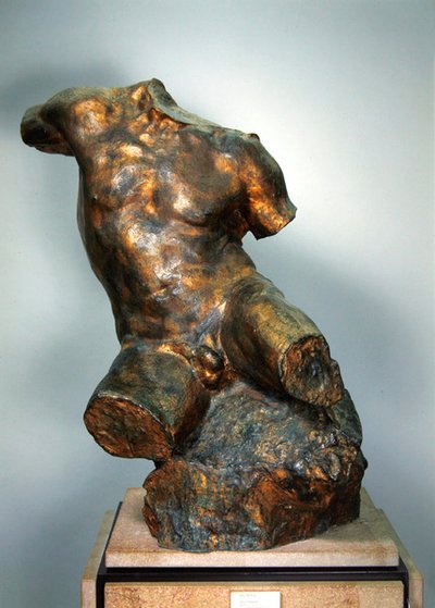 Torso maschile da Jules Desbois