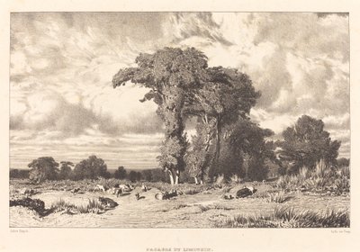 Pascoli del Limosino da Jules Dupré