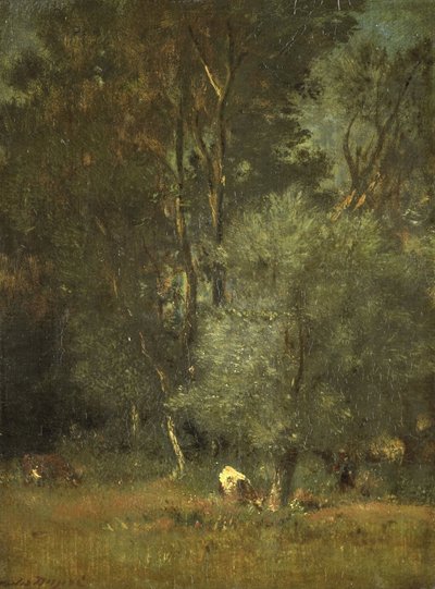 Veduta nel Bosco da Jules Dupré