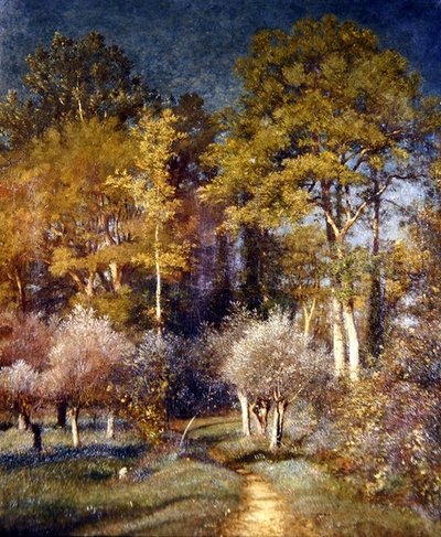 In un angolo della foresta da Jules Dupré