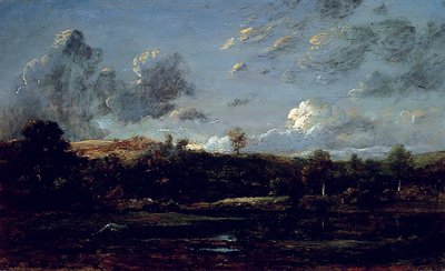 Nelle Landes da Jules Dupré