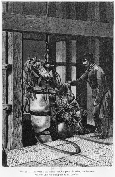 Cavallo calato nella miniera a Le Creusot, illustrazione da 