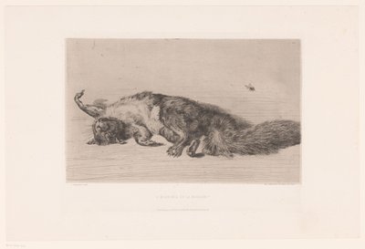 Scoiattolo morto e mosca da Jules Ferdinand Jacquemart