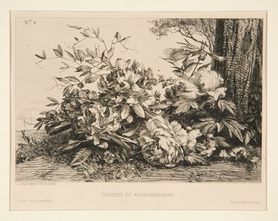 Peonie e Rododendri da Jules Ferdinand Jacquemart