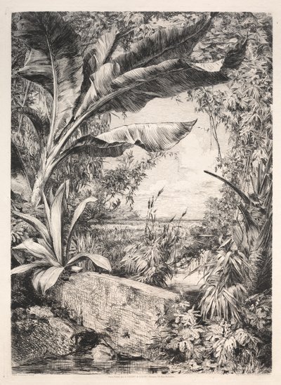 Piante della serra, 1872 da Jules Ferdinand Jacquemart