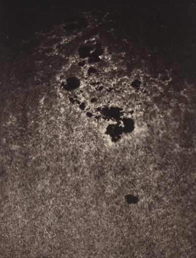 Senza titolo (Studio della superficie del sole), 1893 (foto) da Jules Janssen