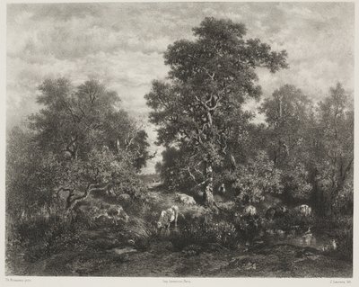 Lo stagno, dopo Théodore Rousseau (1812-67) da Jules Joseph Augustin Laurens
