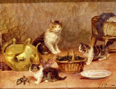 Gattini da Jules Leroy