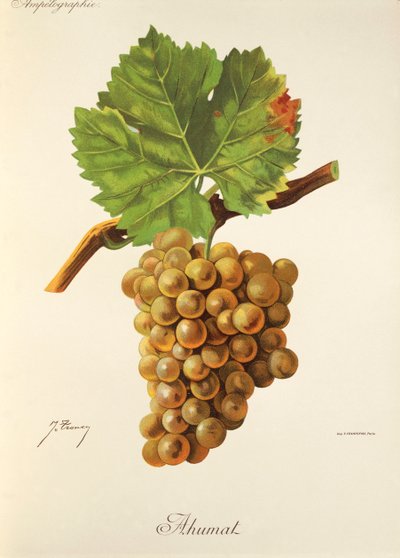 Uva Ahumat di J. Troncy da Jules Troncy