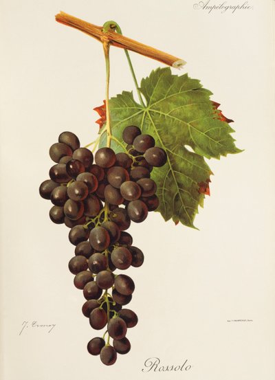 Rossolo da Jules Troncy