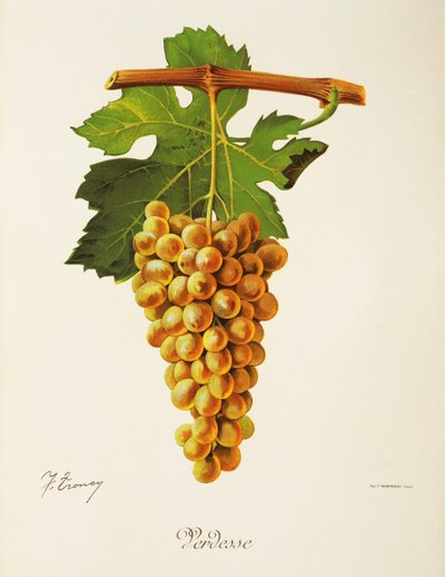 Uva Verdesse di J. Troncy da Jules Troncy