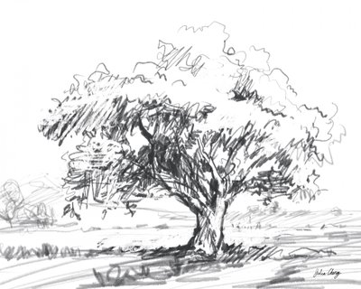 Disegno rustico di un albero da Julia Cheney