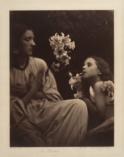  da Julia Margaret Cameron