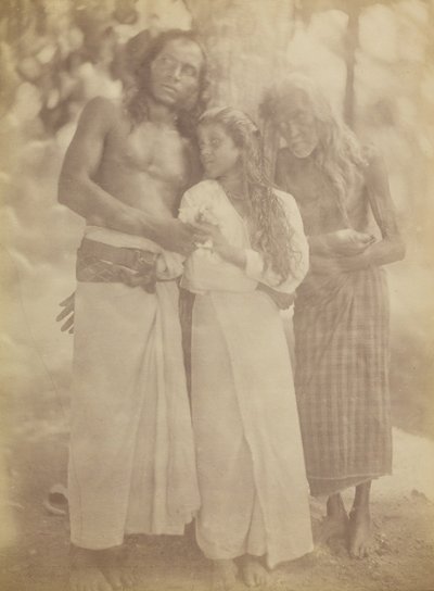 Gruppo cingalese sotto un albero, 1878 da Julia Margaret Cameron