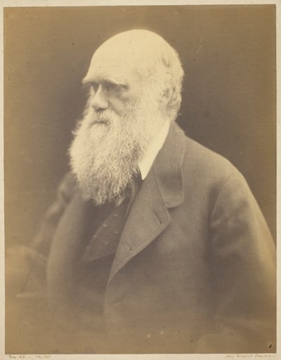 Charles Darwin da Julia Margaret Cameron