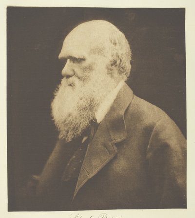 Charles Darwin da Julia Margaret Cameron
