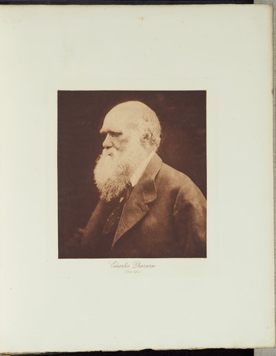  da Julia Margaret Cameron
