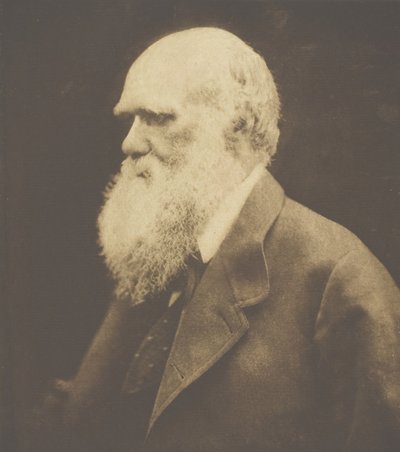 Charles Darwin da Julia Margaret Cameron