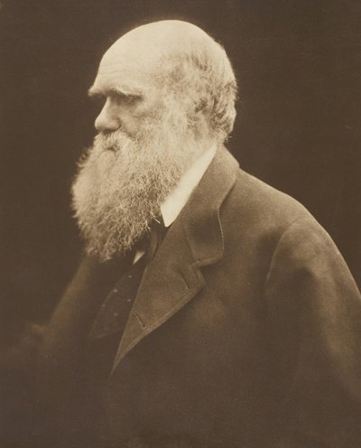 Charles Darwin, c. 1868, stampato 1875 da Julia Margaret Cameron