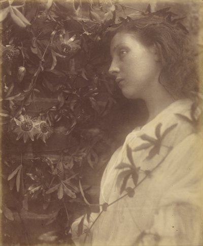 Maud è caduta una splendida lacrima dal fiore della passione al cancello da Julia Margaret Cameron