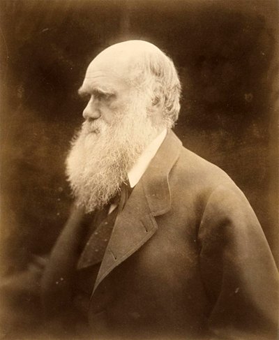 Ritratto di Charles Darwin da Julia Margaret Cameron