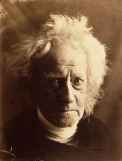 Sir John Frederick William Herschel da Julia Margaret Cameron