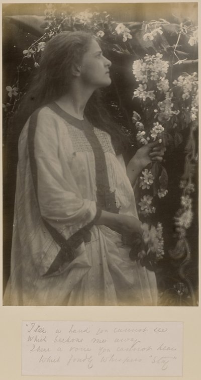 [Primavera] da Julia Margaret Cameron