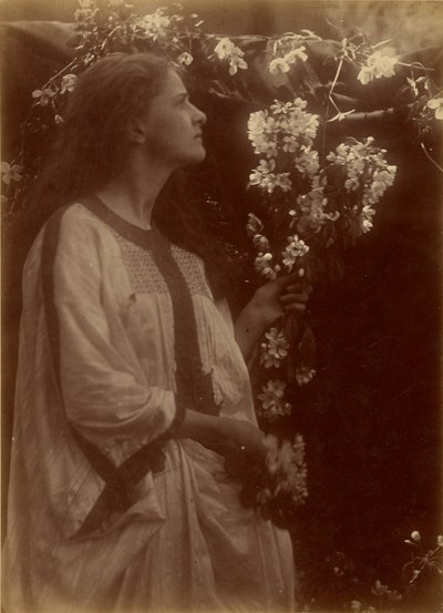 [Primavera] da Julia Margaret Cameron