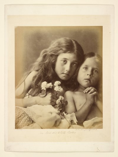 Le rose bianche e rosse da Julia Margaret Cameron
