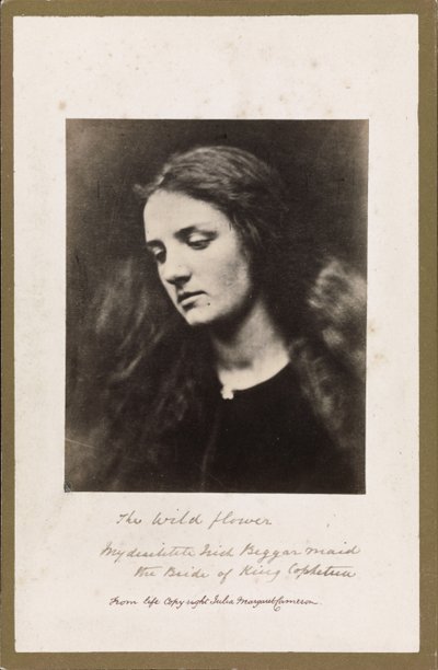 Il Fiore Selvatico da Julia Margaret Cameron