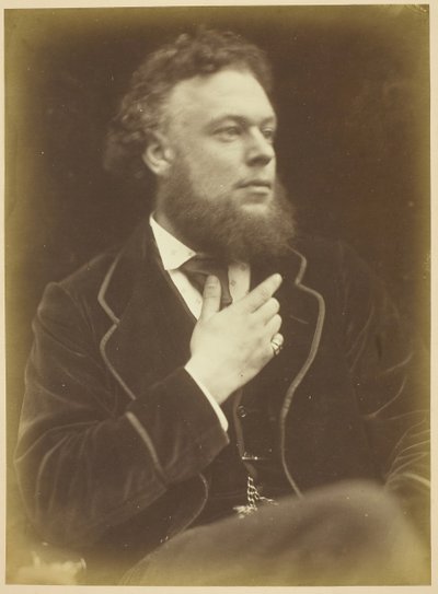 Uomo sconosciuto, 186874 da Julia Margaret Cameron