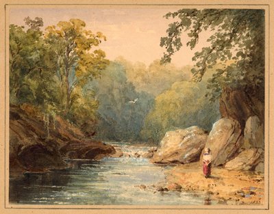 Sul fiume Emmet Burn, North Tyne da Julia Swinburne