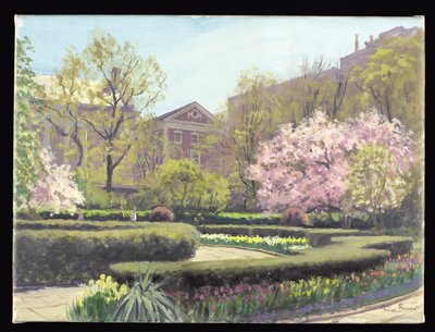 Giardini del Conservatorio, New York da Julian Barrow