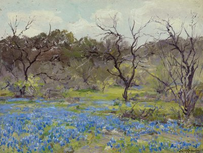 Inizio primavera—Bluebonnets e mesquite da Julian Onderdonk