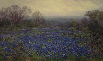 Senza titolo - Campo di Bluebonnets da Julian Onderdonk