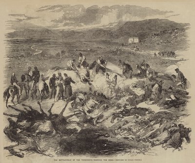 Il Campo di Battaglia del Tchernaya, seppellendo i Morti da Julian Portch