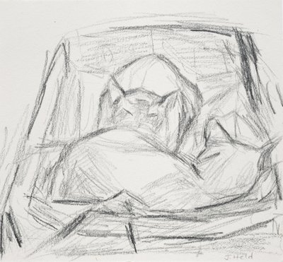 Gatti, 2015 da Julie Held