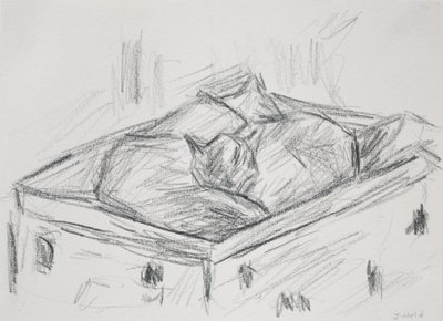Gatti accoccolati, 2015 da Julie Held