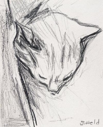 Gatto che dorme, 2015 da Julie Held