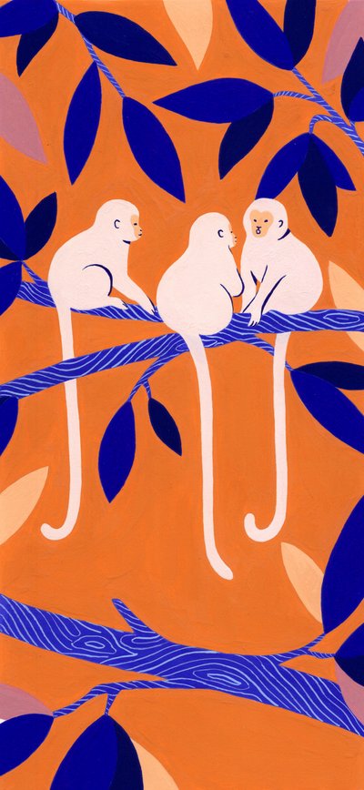 Scimmie colorate sugli alberi da Julie Lesouef
