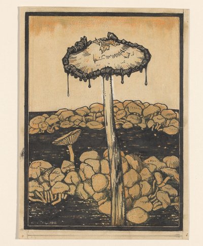 Fungo gocciolante da Julie de Graag (signed by artist)