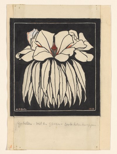 Godetia da Julie de Graag (signed by artist)