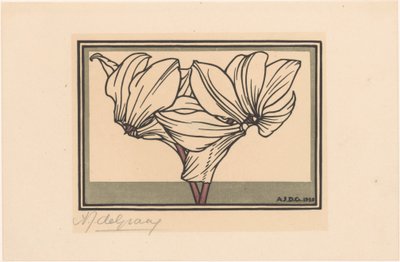 Ciclamino da Julie de Graag