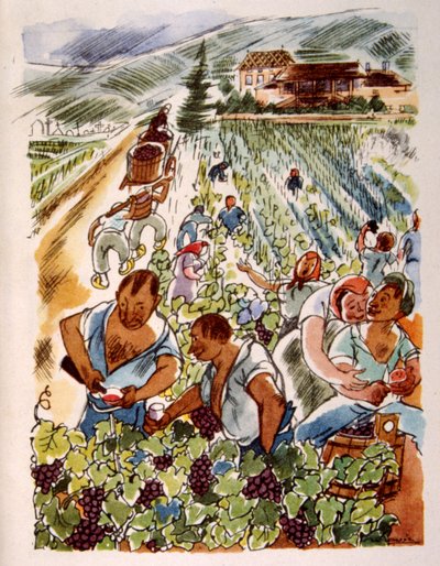 Vigneto francese. 1944. Illustrazione di Julien Pavil da Julien Pavil