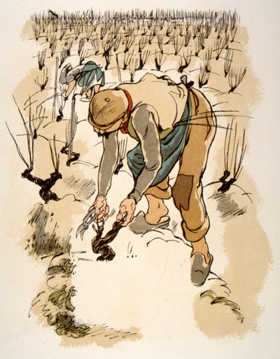 Illustrazione di vino umoristico 1946 da Julien Pavil