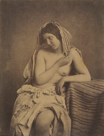 Studio dalla natura, c. 1853-1855 da Julien Vallou de Villeneuve