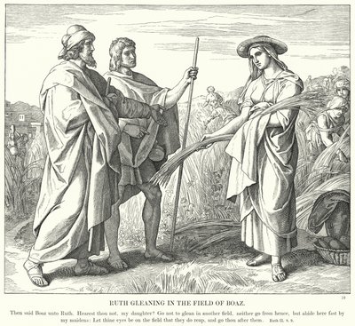 Ruth che spigola nel campo di Boaz (incisione) da Julius (after) Schnorr von Carolsfeld