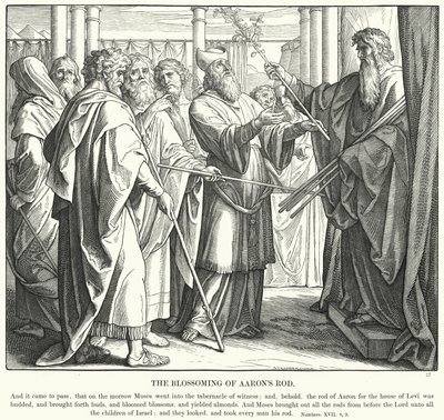 La fioritura del bastone di Aronne (incisione) da Julius (after) Schnorr von Carolsfeld