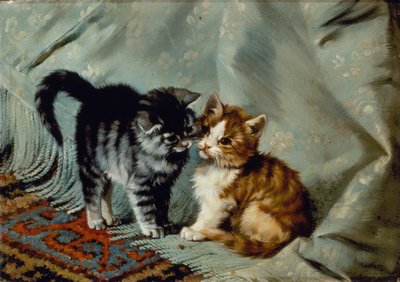 Migliori amici da Julius Adam