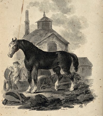 Un cavallo da tiro in piedi davanti al carro con il carrettiere da Julius Caesar Ibbetson